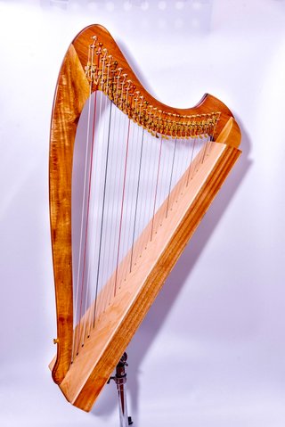 21-String Glory Harp